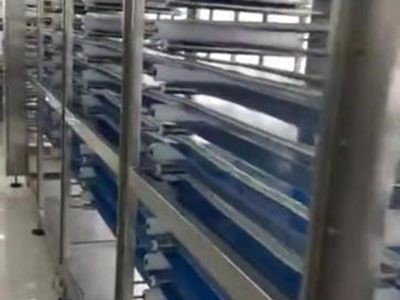 Proofing belt